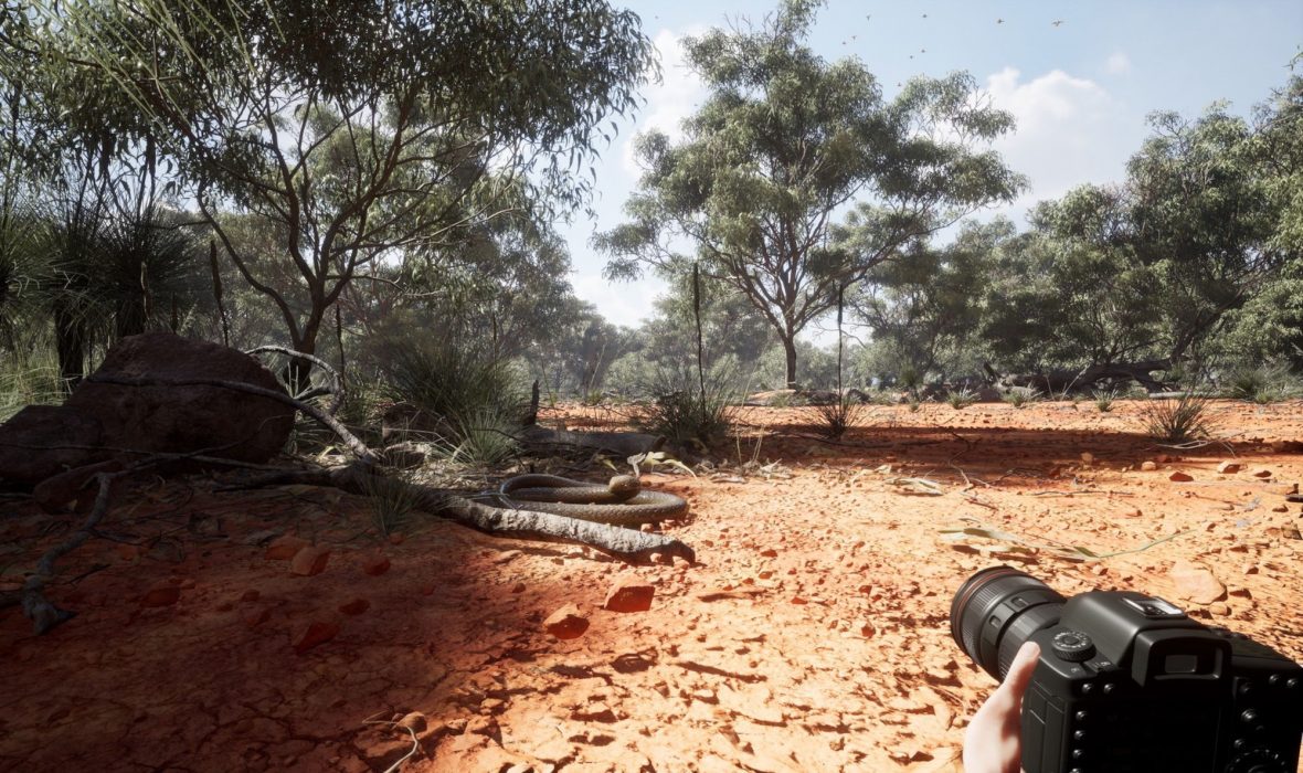 Photography Simulator