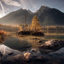 AF 12mm F2 X_Andreas Hauser (2)