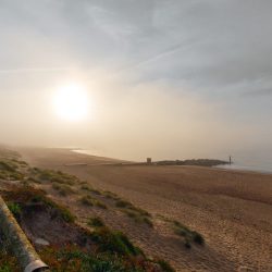 AF 12mm F2 X_Charlie Hunt (1)