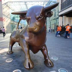 AF 12mm F2 X_Damian Brown (14)