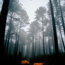 AF 12mm F2 X_Sample Image_Dogukan Benli (24)