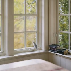 Alec_Soth_RPSAwards2021-800x640