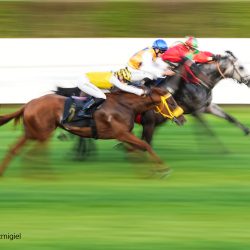 Aleksandra-Szmigiel1