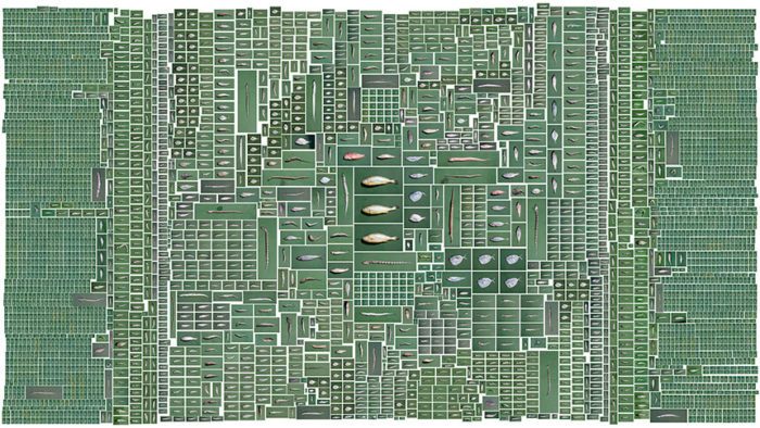 Fish-Grid-Overall-stefen-chow-vweb-700x394