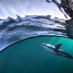 Gergo_Rugli_c-1024x683