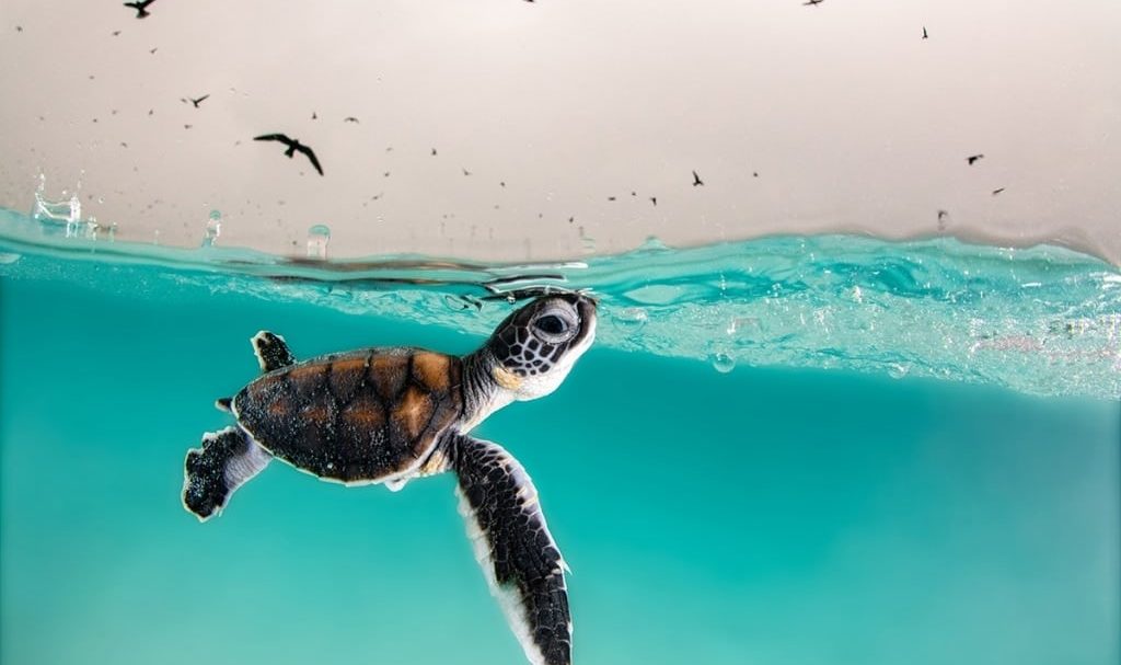 Hannah_Le_Leu_c-1024x683