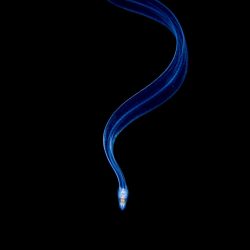 Ocean-Photography-Awards-Collective-Portfolio-Award-Galice-Hoarau-05-1023x1536