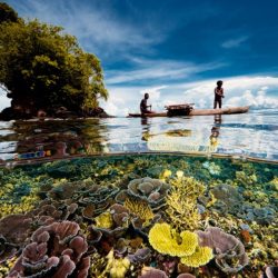 david-doubilet-underwater-housing-photography-petapixel-007_1-800x533