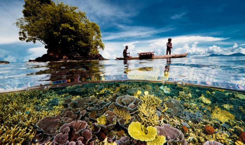 david-doubilet-underwater-housing-photography-petapixel-007_1-800x533