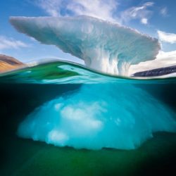 david-doubilet-underwater-housing-photography-petapixel-009_1-800x533