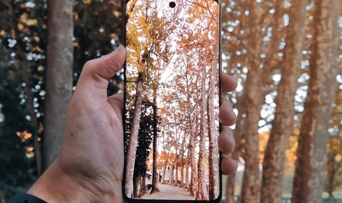 honor-50-concours-ouv