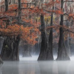 39_Eren-Atis-USA-AMNL-PA2011538-5fa0303eaa5e3__700