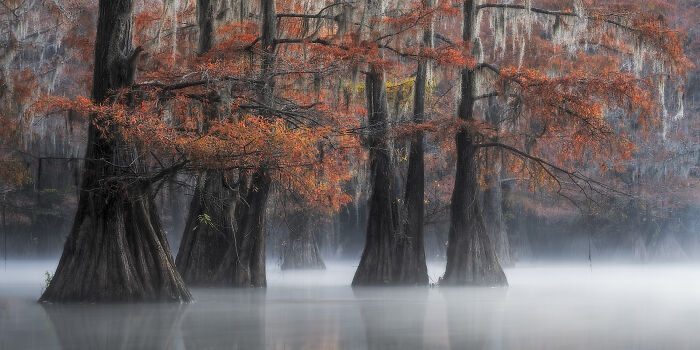 39_Eren-Atis-USA-AMNL-PA2011538-5fa0303eaa5e3__700