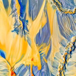 EPSON_Manuel-Enrique-Gonza╠ulez-Carmona-Spain-OPNL-PA2113144-800x400