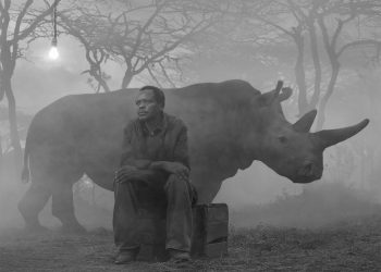 Nick-Brandt-Editions-Hatje-Cantz-2