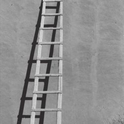 okeeffe_photographe_expo5