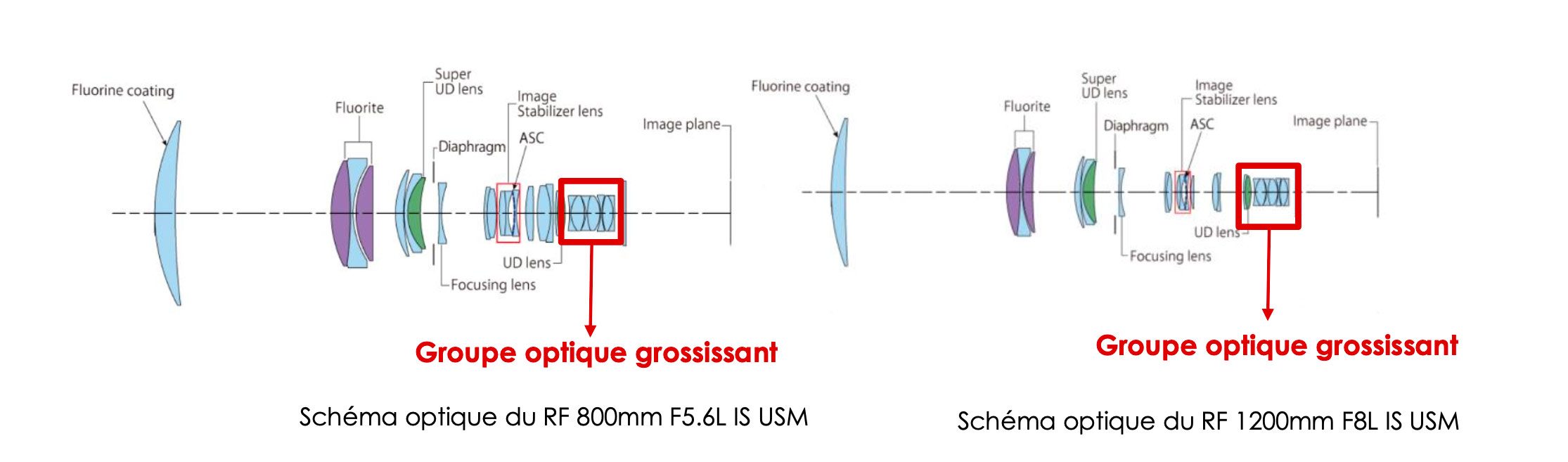 Canon-rf-800-1200-mm-schema