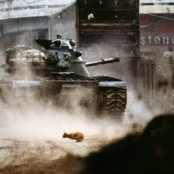 Liban, 1984. Un tank de l’armée libanaise chrétienne tire sur les milices musulmanes dans le centre-ville de Beyrouth. Un chat de religion indéterminée fuit les combats
