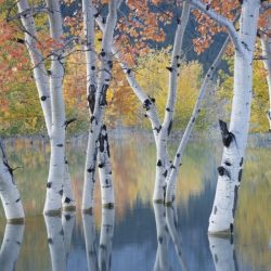international-landscape-photographer-awards-14-1024x550