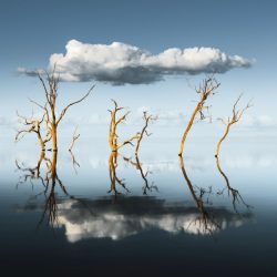 international-landscape-photographer-awards-27576-Ben-Goode-Reflector-1024x819