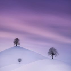 international-landscape-photographer-awards-28975-Cedric-Tamani-The-Drumlins-in-Winter-1152x1536
