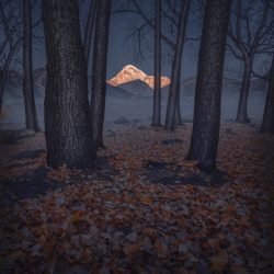 international-landscape-photographer-awards-31006-AytekCetin-FromTwilight-To-Light-800x1024