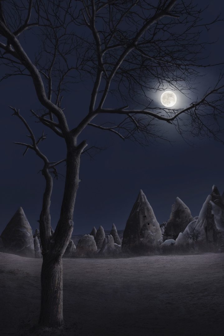 international-landscape-photographer-awards-31017-AytekCetin-Story-Of-Ages-1023x1536