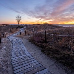 Image réalisée avec le Sigma 20 mm f/2 DG DN Contemporary