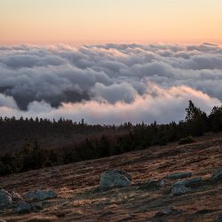 23_MG_5558-1234x1000