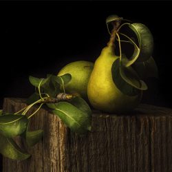 CUPOTY-©-Heidi-Egerman-The-Pear-fect-Pair