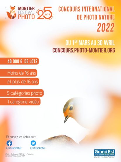 Insertion-concours-2022-1-768x1024