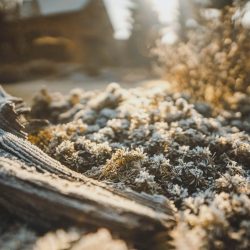 Irix-21mm-f1.4-sample-photo-4