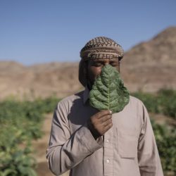 World-Press-Regional-Winners-014-Africa-Open-Format-Rehab-Eldalil-1024x683