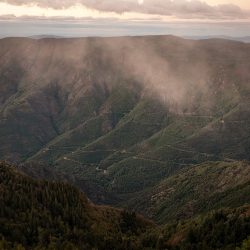 dsf9983_FJ_1-1234x1000