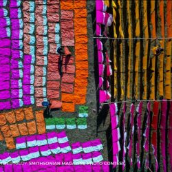 Smithsonian-Magazine-Photo-Contest-Add-Some-More-Colors-Sultan-Ahmed-Niloy-1024x768