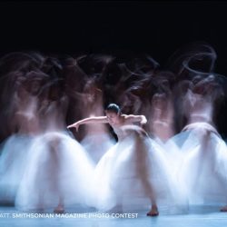 Smithsonian-Magazine-Photo-Contest-Floating-Flowers-Performed-by-B.Dance-Garry-Platt-1024x768