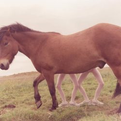 kyotographie_007-1381x943