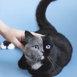 kyotographie_040401-940x1175