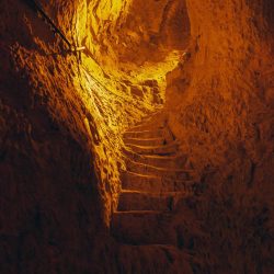 kyotographie_a7c08973-1