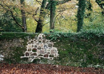 0c97fa8c-d289-3d4c-cbc2-223962b9d398-copie