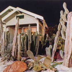 5. Ollman Arthur - Maison avec cactus
