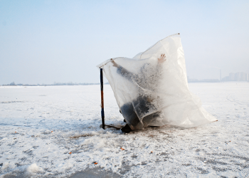 Igor Efimov DSC_3794 (1)_small