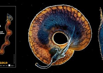 bandeau_CENTQUATRE_Graines_2022-scaled