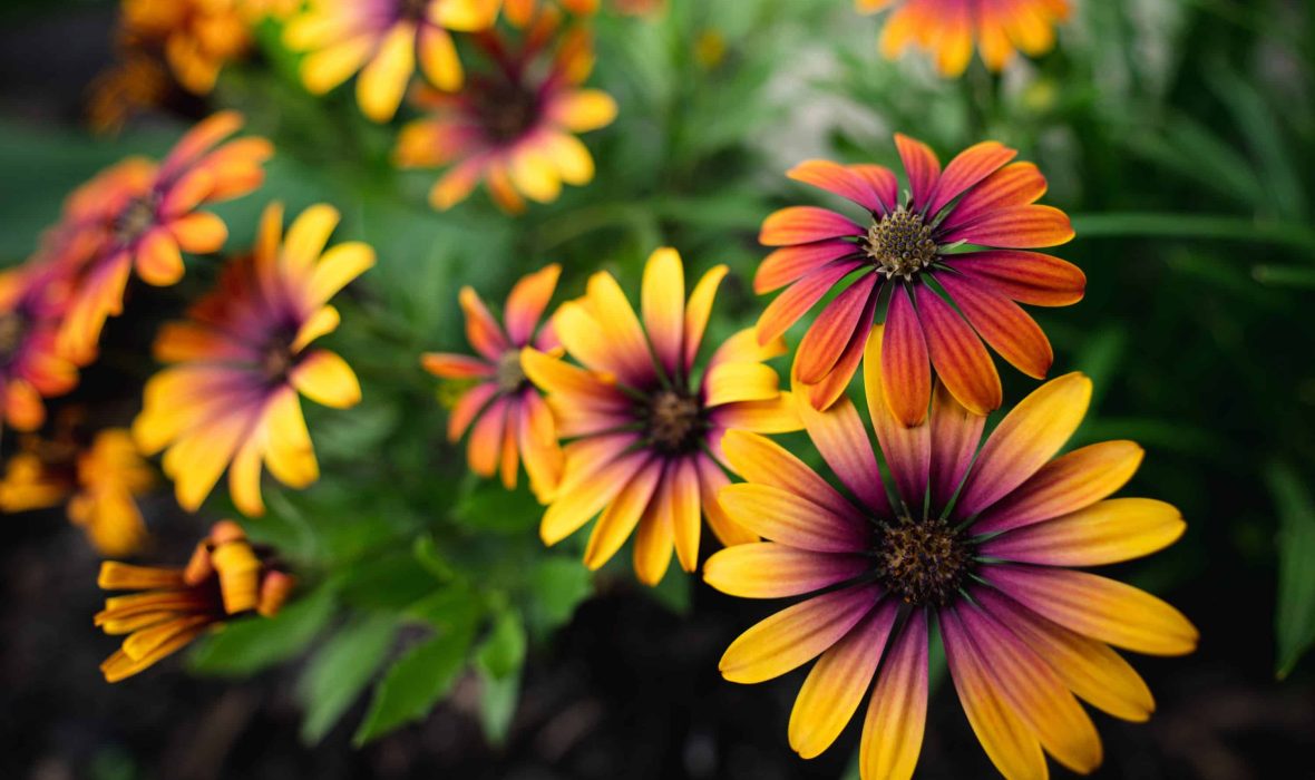 Z_17-28_F2.8_01_DH_PS_0850_A5