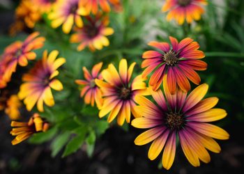 Z_17-28_F2.8_01_DH_PS_0850_A5