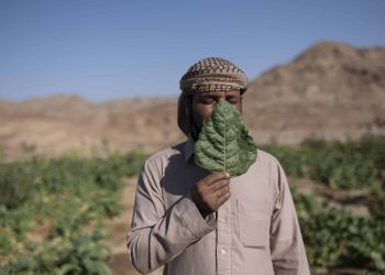 ADPP Exhibit_Rehab Eldalil_Press Image_01