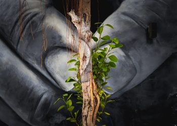 Take-care-of-spring-buds