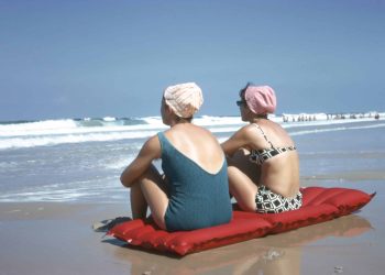 The_Anonymous_Project-Lee_Shulman_3