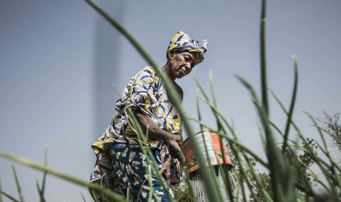 L'agroecologie au Mali