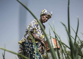 L'agroecologie au Mali